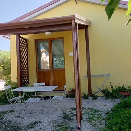 Agriturismo I Ciliegi Appartamento Ginestra Montignano Zewnętrze zdjęcie