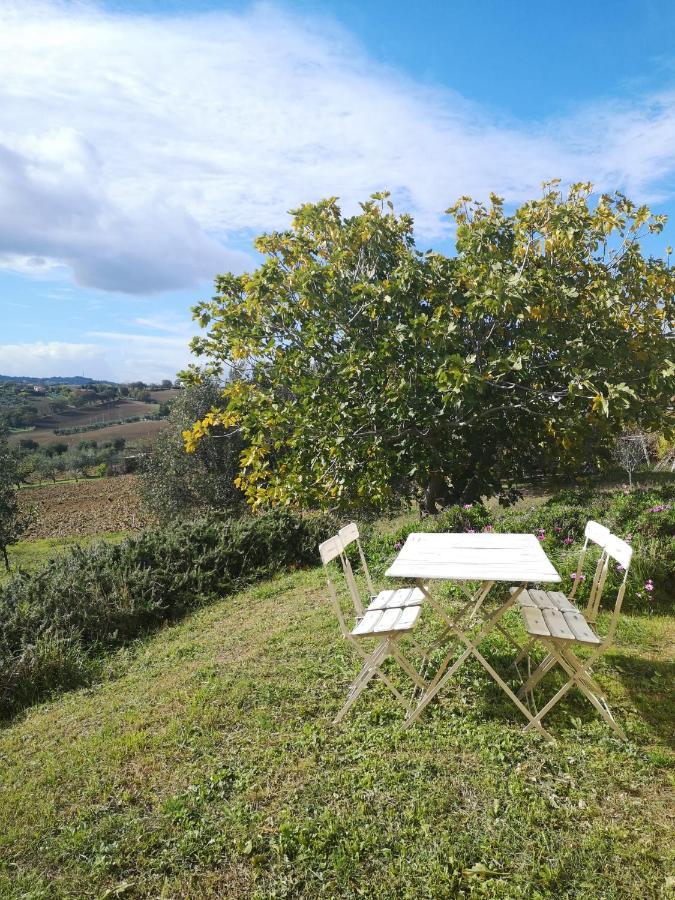 Agriturismo I Ciliegi Appartamento Ginestra Montignano Zewnętrze zdjęcie