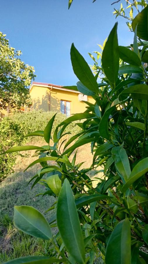 Agriturismo I Ciliegi Appartamento Ginestra Montignano Zewnętrze zdjęcie