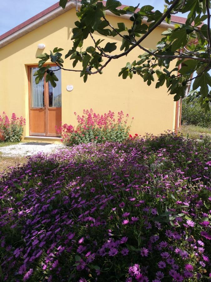 Agriturismo I Ciliegi Appartamento Ginestra Montignano Zewnętrze zdjęcie